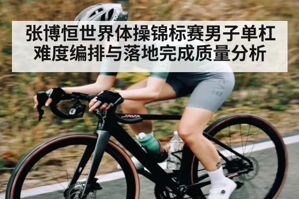 张博恒世界体操锦标赛男子单杠难度编排与落地完成质量分析